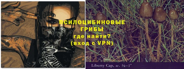 тгк Верея