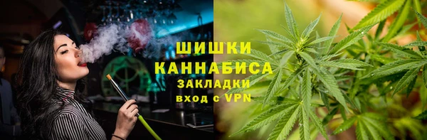 тгк Верея
